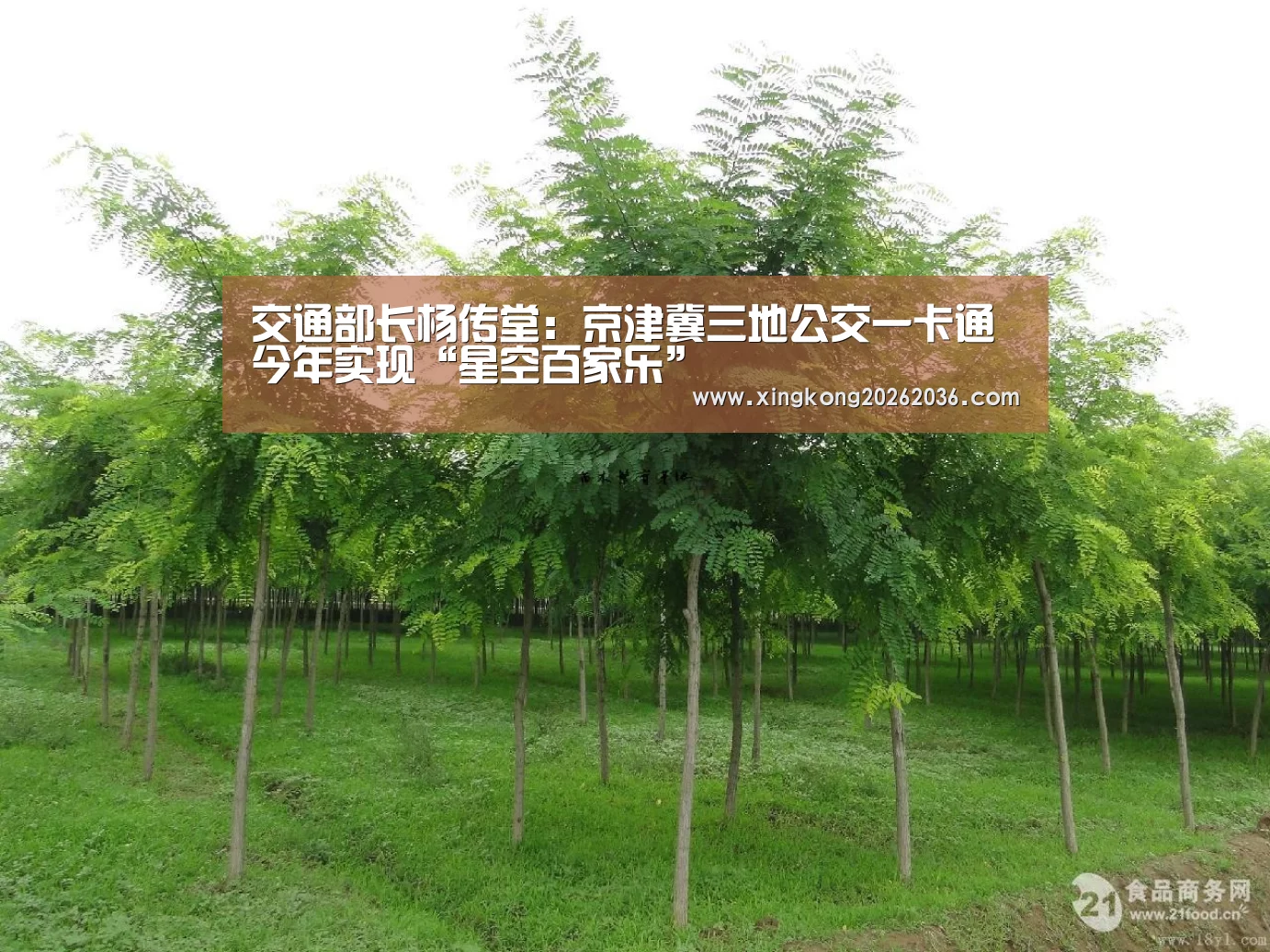 交通部长杨传堂:京津冀三地公交一卡通今年实现“星空百家乐”(图1) 星空APP