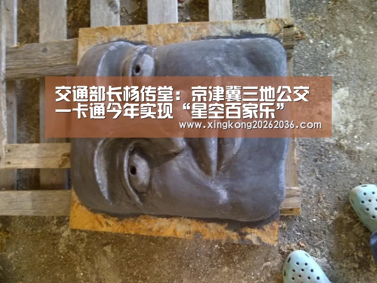 交通部长杨传堂:京津冀三地公交一卡通今年实现“星空百家乐”(图2) 星空体育