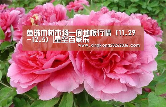 鱼珠木材市场一周地板行情(11.29-12.5)|星空百家乐(图1) 星空百家乐