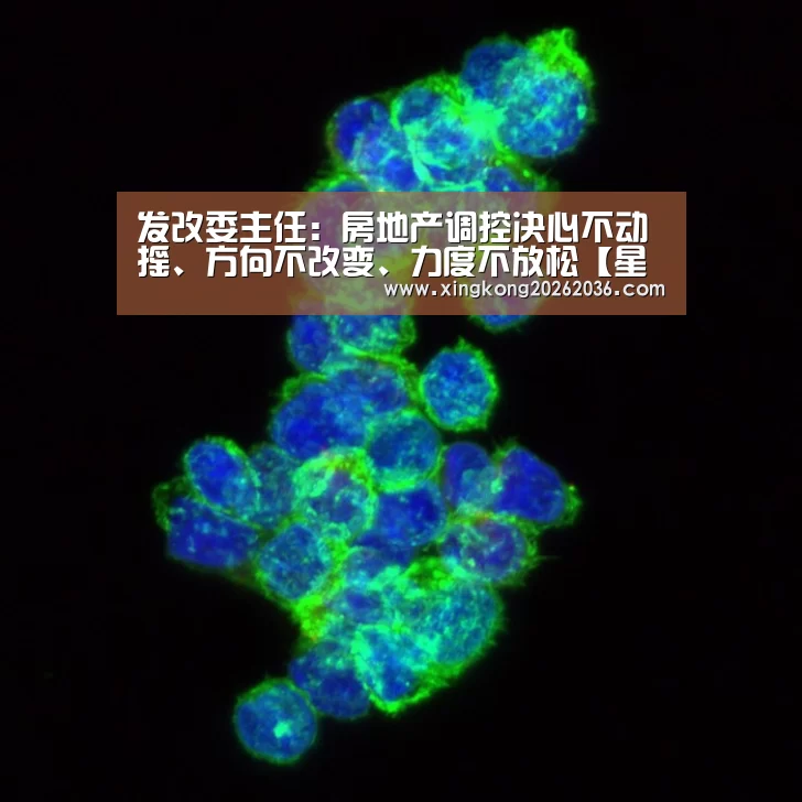 星空体育