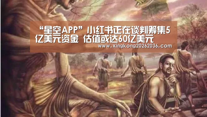 “星空APP”小红书正在谈判筹集5亿美元资金 估值或达60亿美元(图1) 星空体育