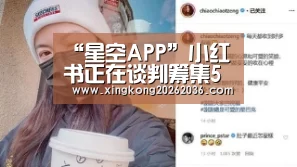 “星空APP”小红书正在谈判筹集5亿美元资金 估值或达60亿美元(图2) 星空百家乐