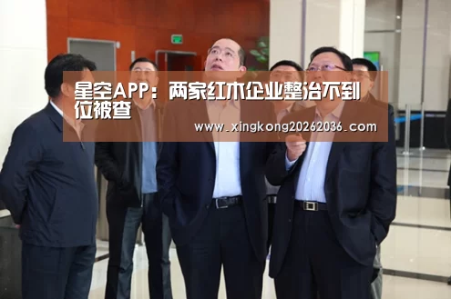 星空APP:两家红木企业整治不到位被查(图4) 星空百家乐