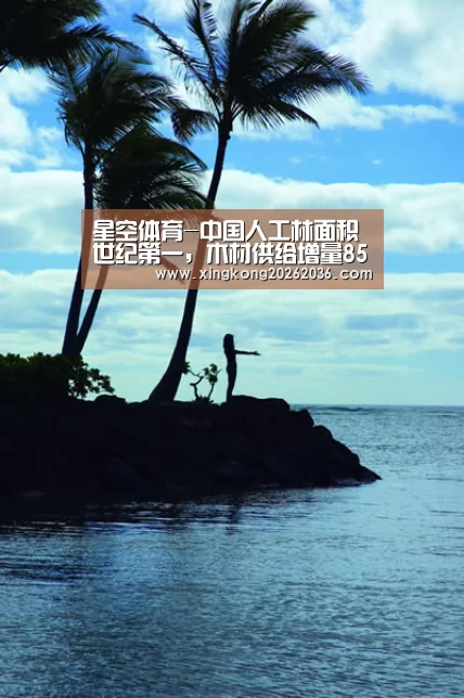 星空体育-中国人工林面积世纪第一,木材供给增量85%来自人工林(图1) 星空体育