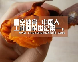 星空体育-中国人工林面积世纪第一,木材供给增量85%来自人工林(图2) 星空APP
