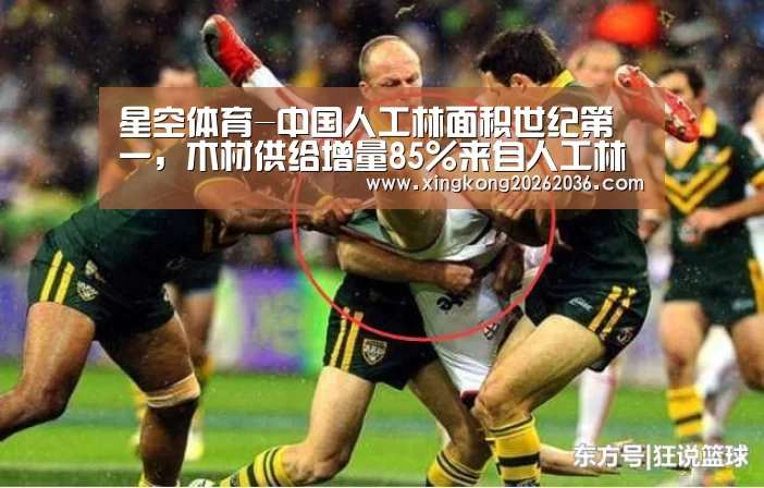 星空体育-中国人工林面积世纪第一,木材供给增量85%来自人工林(图3) 星空体育
