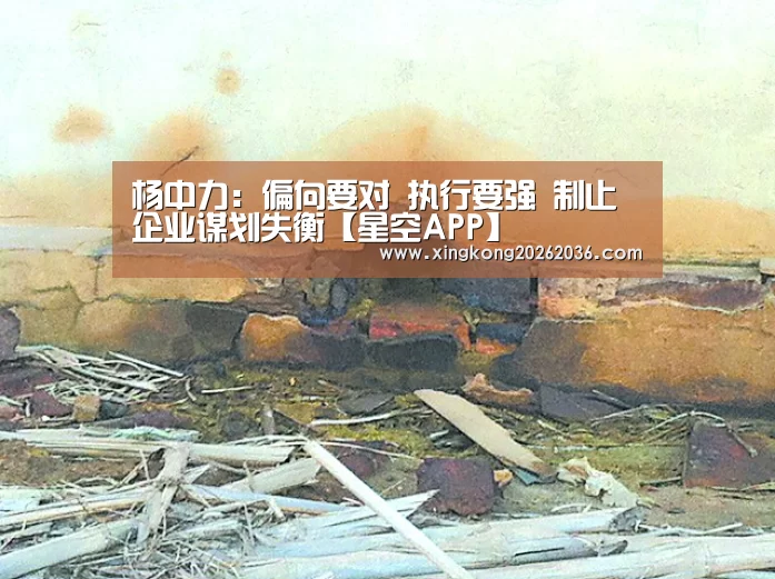 杨中力:偏向要对 执行要强 制止企业谋划失衡【星空APP】(图1) 星空百家乐
