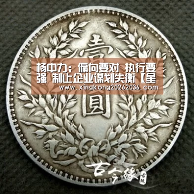 杨中力:偏向要对 执行要强 制止企业谋划失衡【星空APP】(图2) 星空百家乐