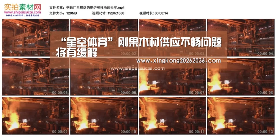 “星空体育”刚果木材供应不畅问题将有缓解(图1) 星空体育