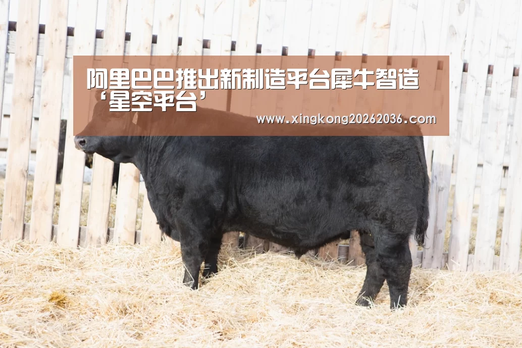 阿里巴巴推出新制造平台犀牛智造‘星空平台’(图1) 星空百家乐